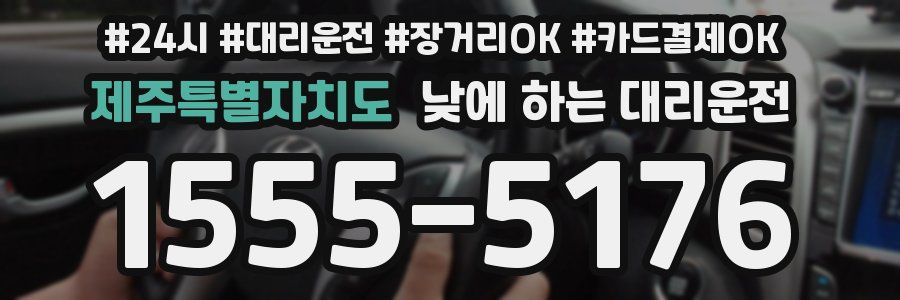 제주특별자치도 낮에 하는 대리운전