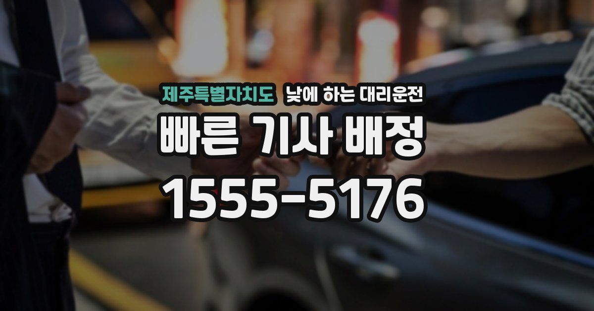 제주특별자치도 낮에 하는 대리운전