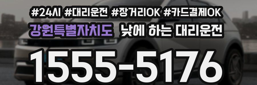 강원특별자치도 낮에 하는 대리운전