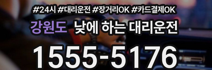 강원도 낮에 하는 대리운전