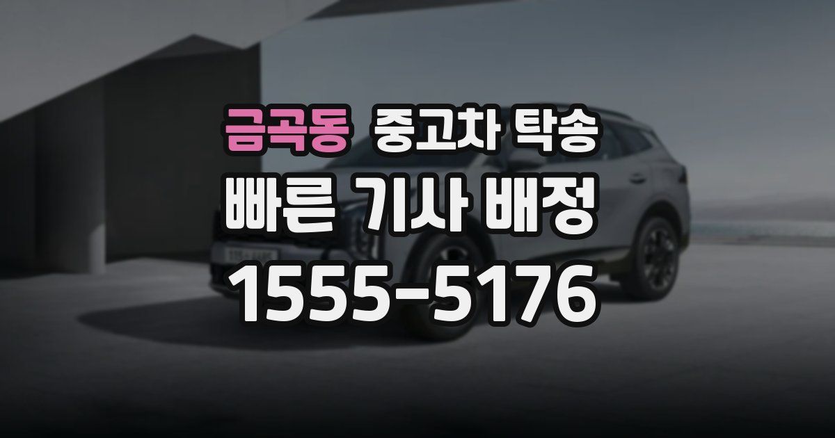 금곡동 중고차 탁송