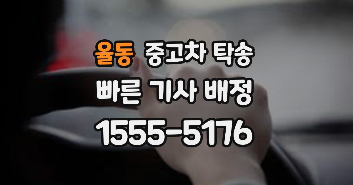 율동 중고차 탁송