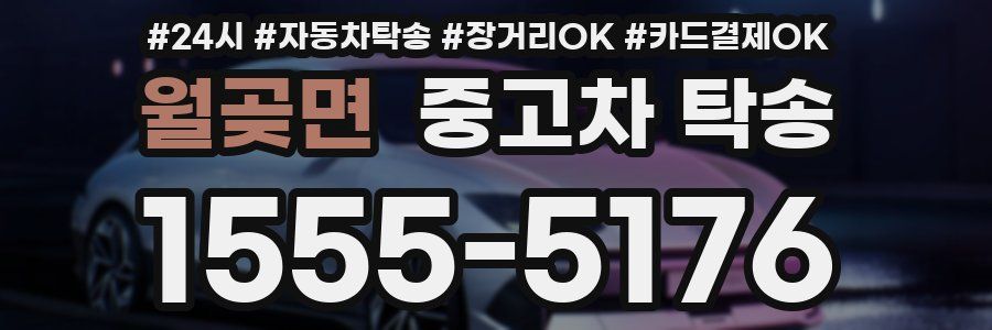 월곶면 중고차 탁송