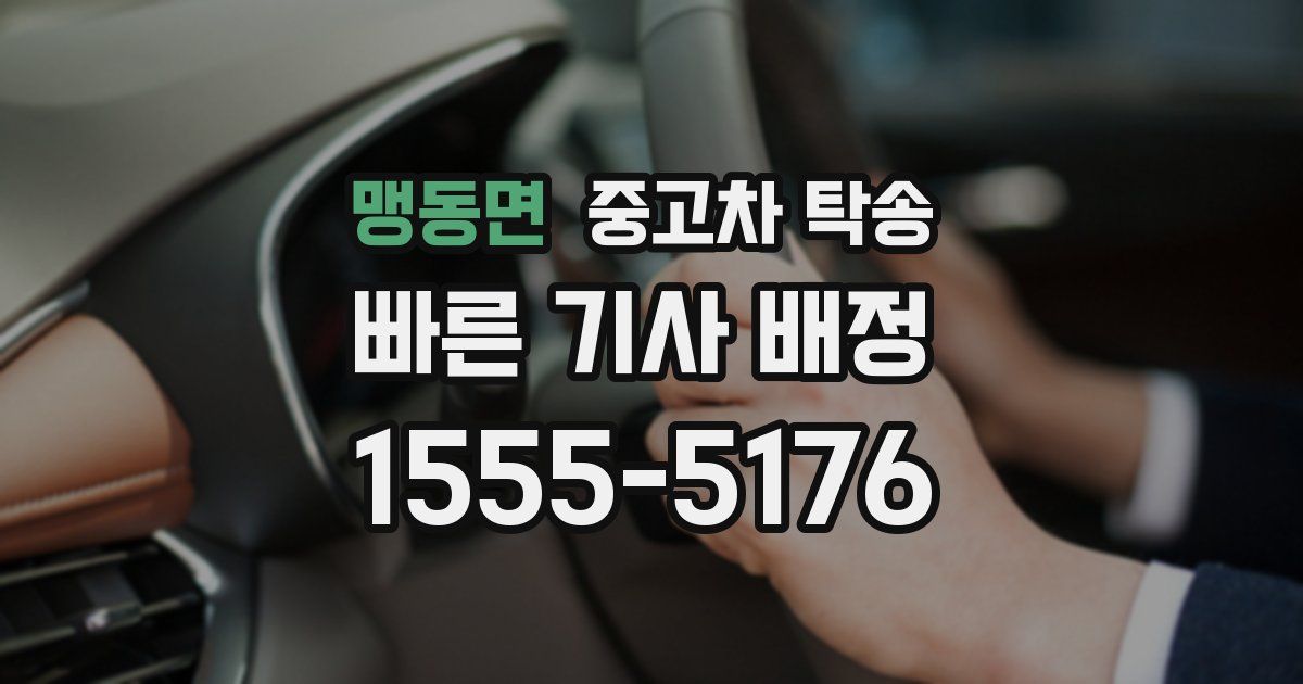 맹동면 중고차 탁송