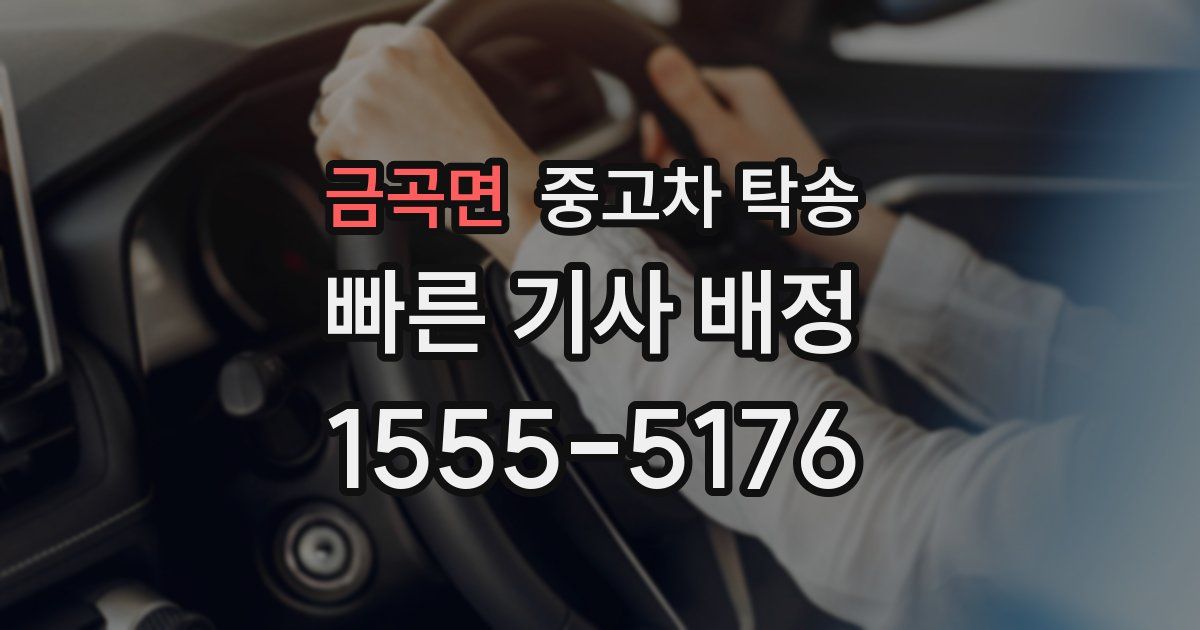 금곡면 중고차 탁송