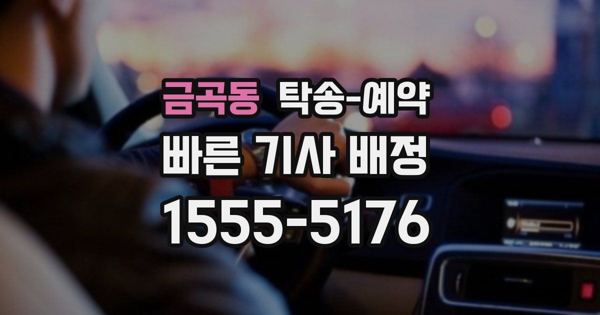 금곡동 탁송 예약