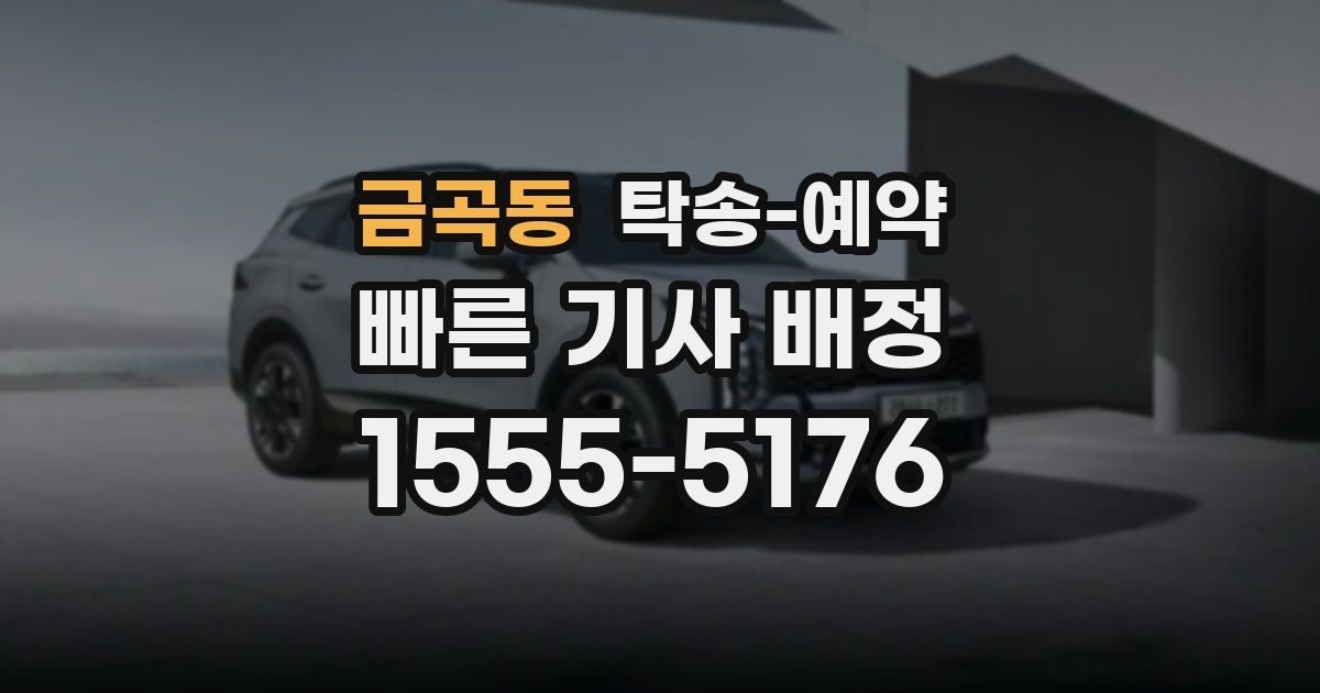 금곡동 탁송 예약