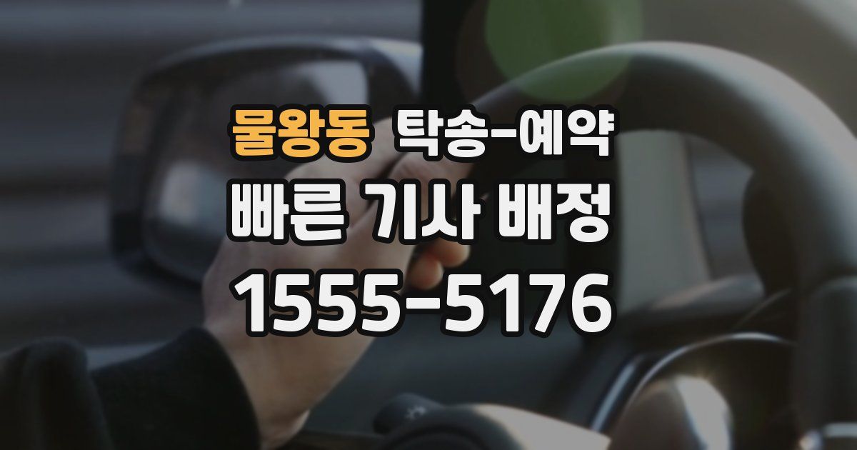 물왕동 탁송 예약