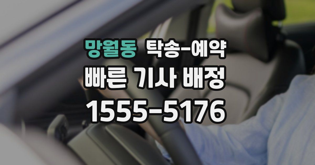 망월동 탁송 예약