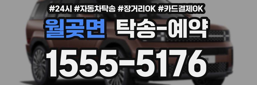월곶면 탁송 예약