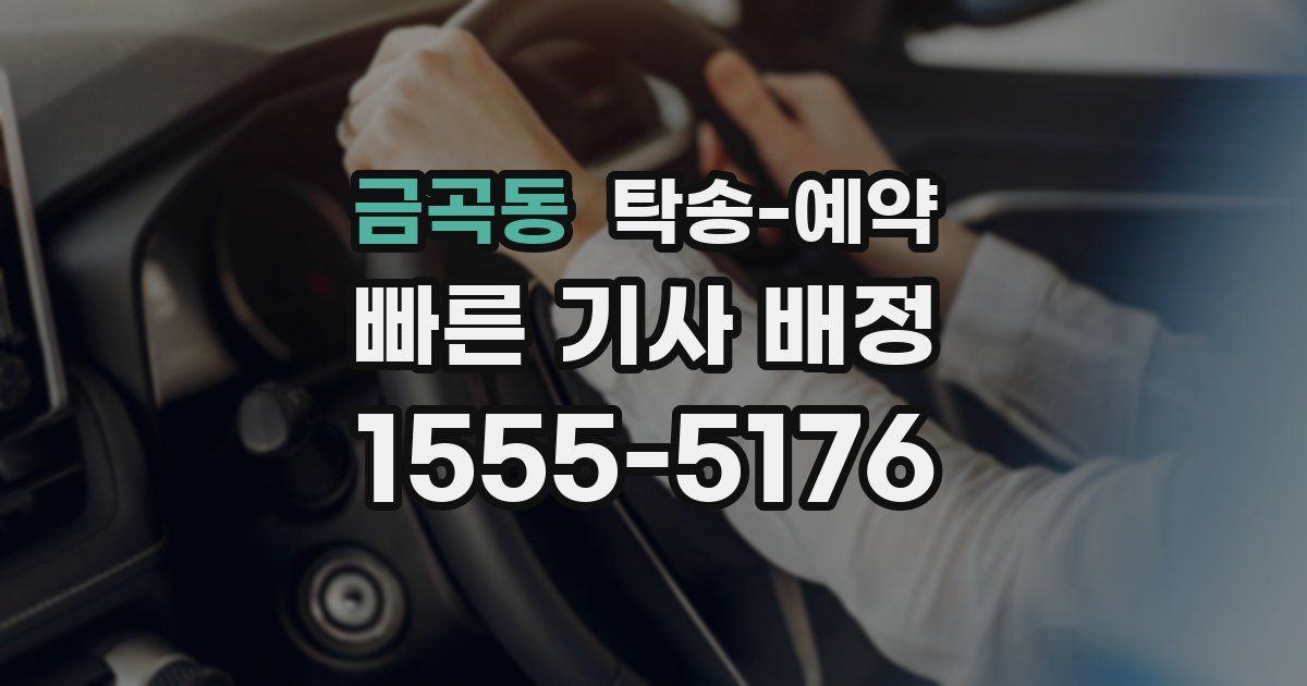 금곡동 탁송 예약
