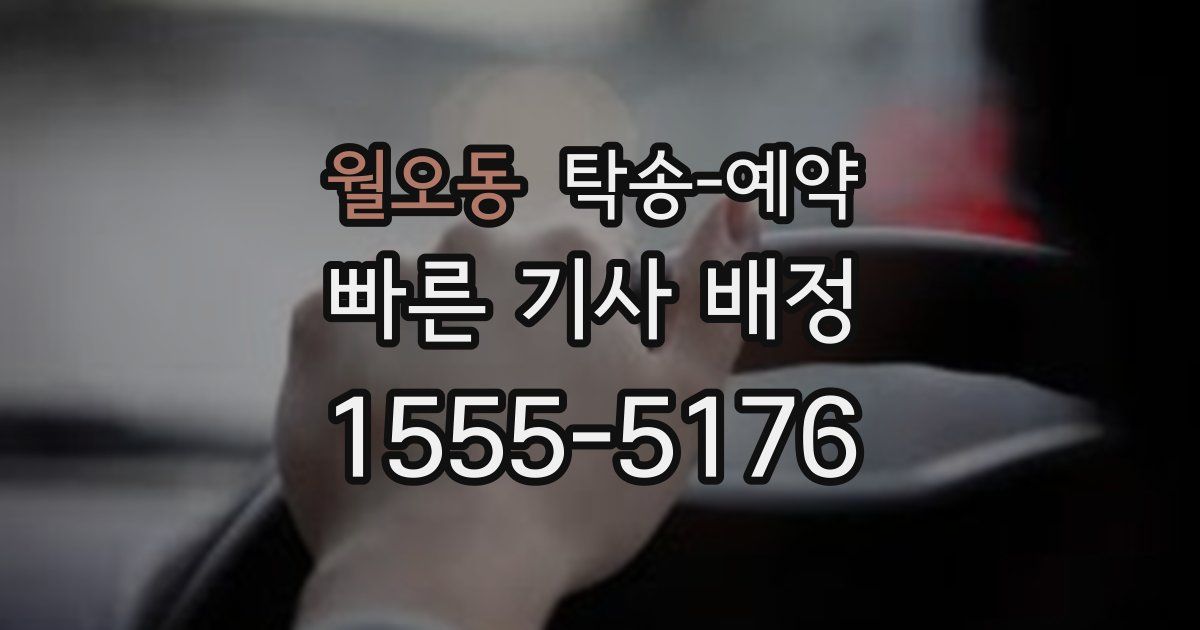 월오동 탁송 예약