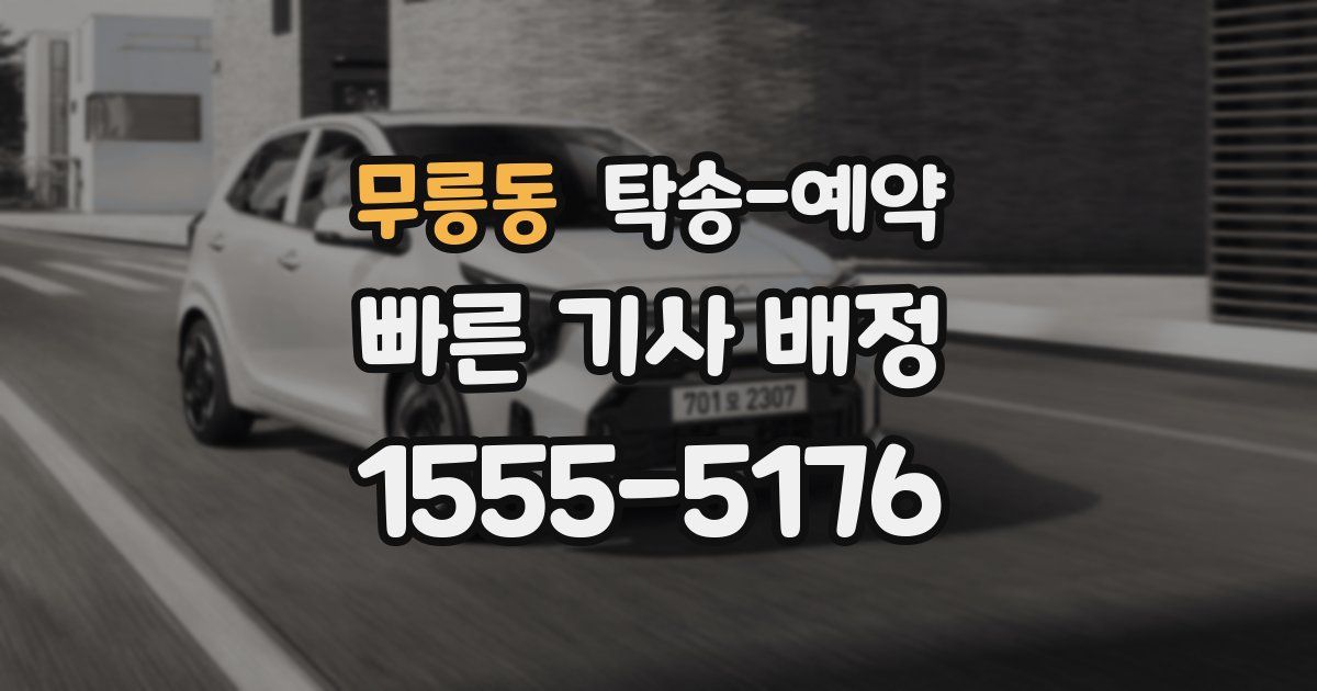 무릉동 탁송 예약
