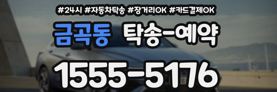 금곡동 탁송 예약