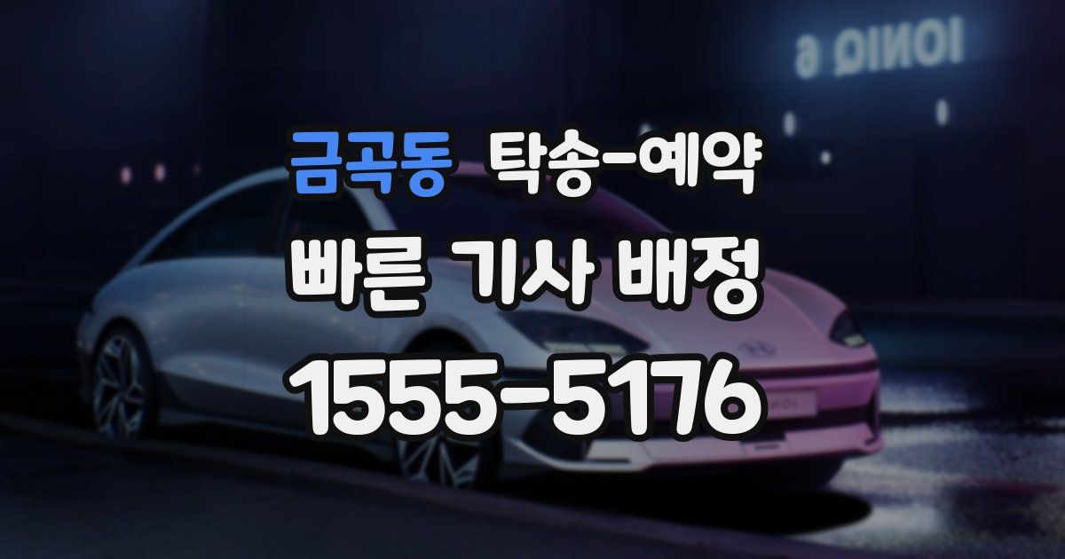 금곡동 탁송 예약