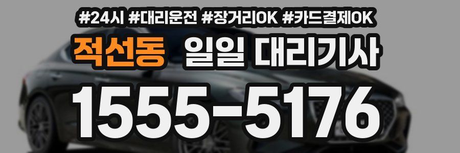 적선동 일일 대리기사