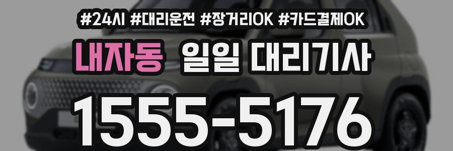 내자동 일일 대리기사