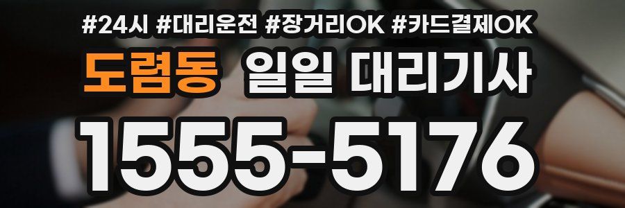 도렴동 일일 대리기사