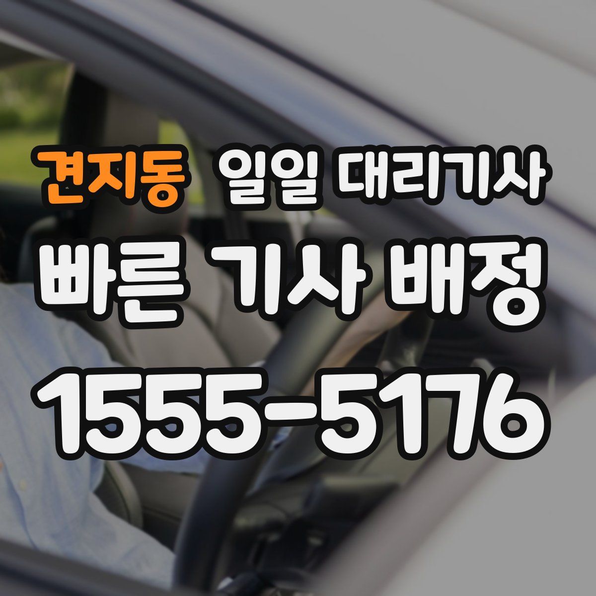 견지동 일일 대리기사