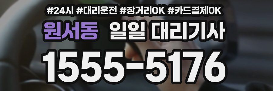 원서동 일일 대리기사