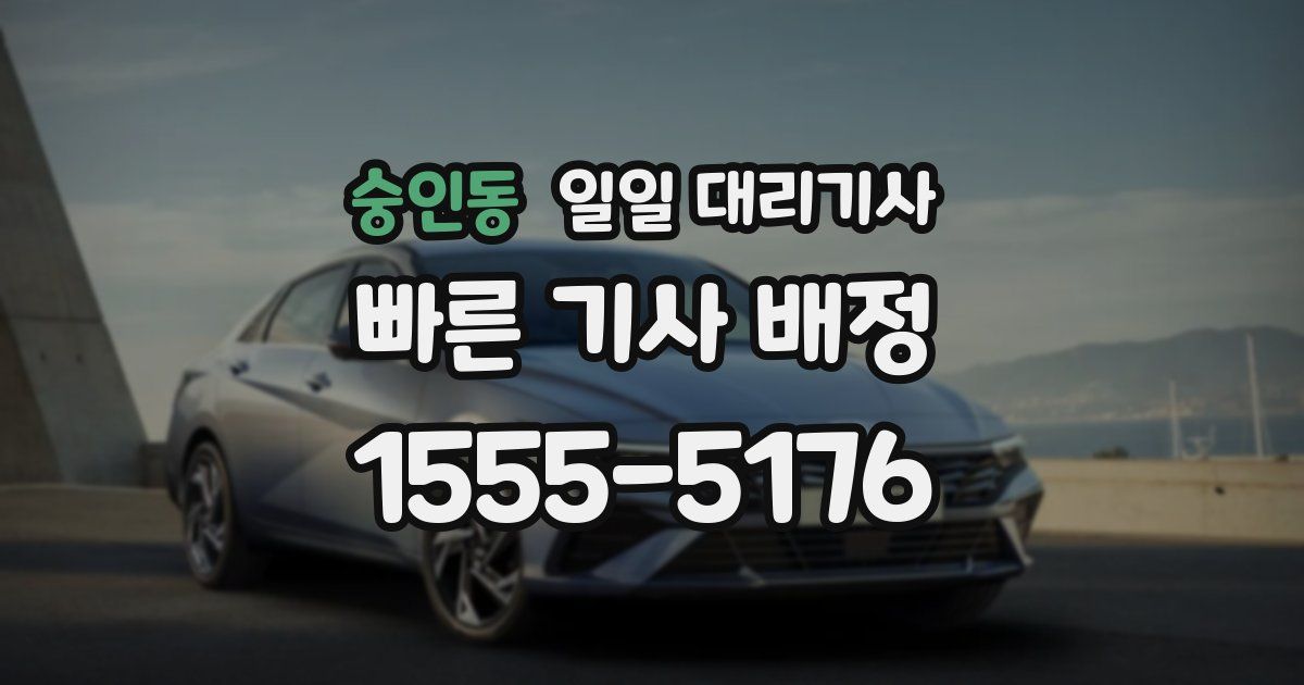 숭인동 일일 대리기사