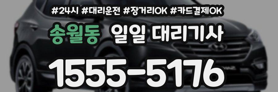 송월동 일일 대리기사