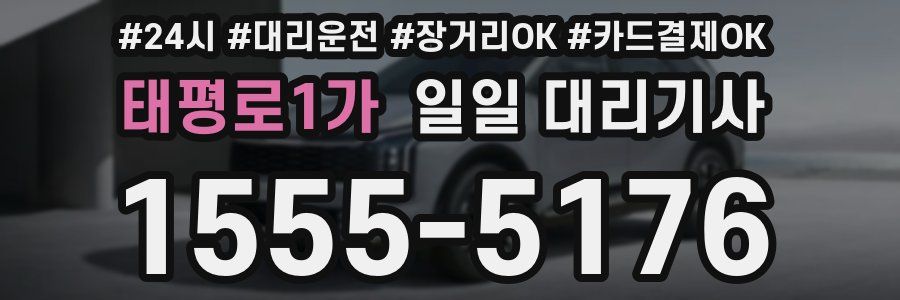 태평로1가 일일 대리기사