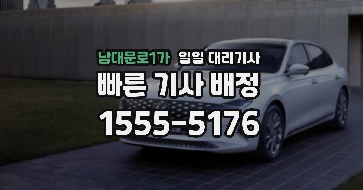 남대문로1가 일일 대리기사