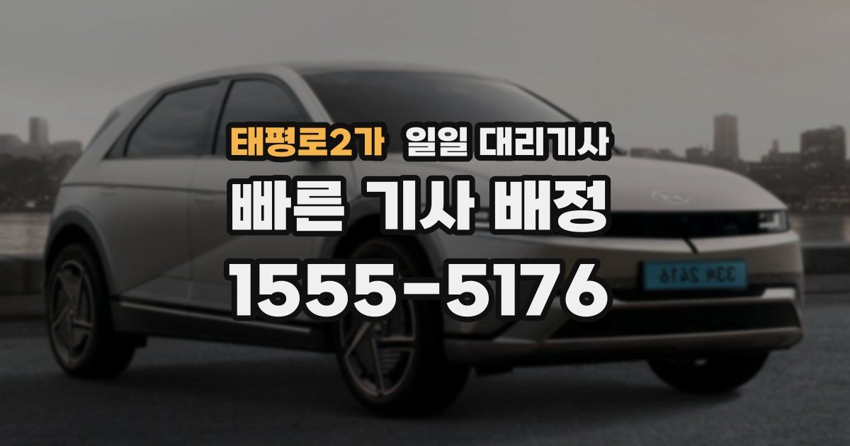 태평로2가 일일 대리기사