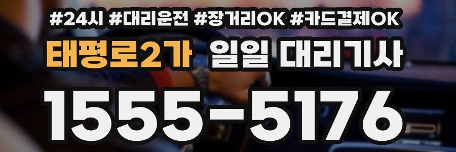 태평로2가 일일 대리기사