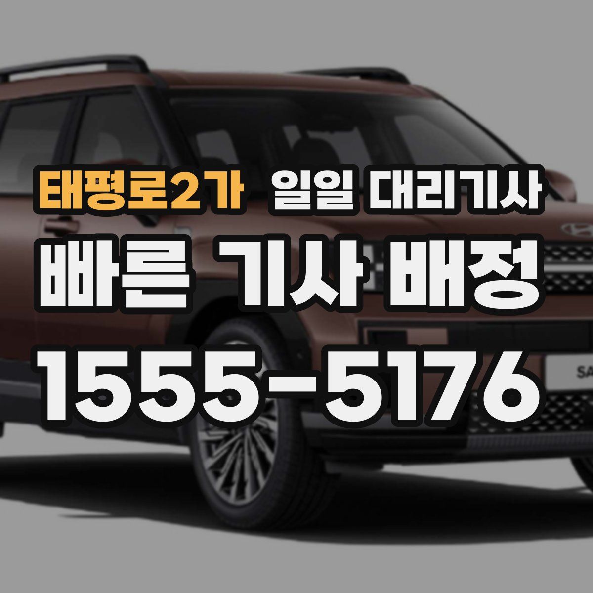 태평로2가 일일 대리기사