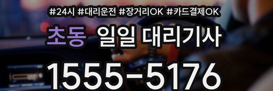 초동 일일 대리기사