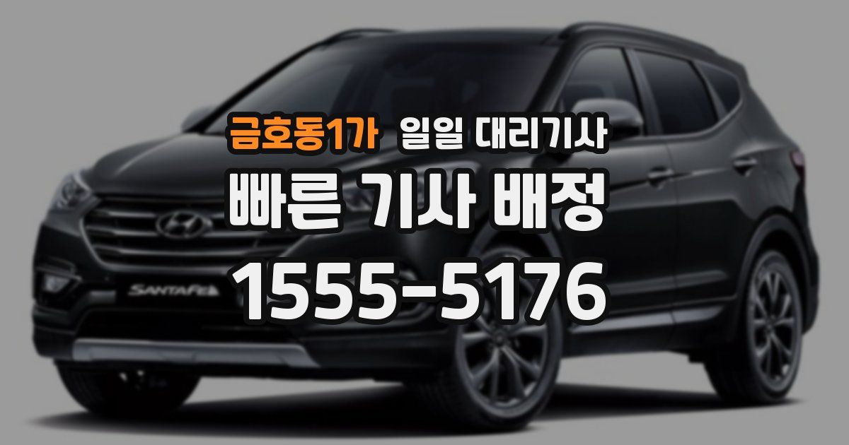 금호동1가 일일 대리기사