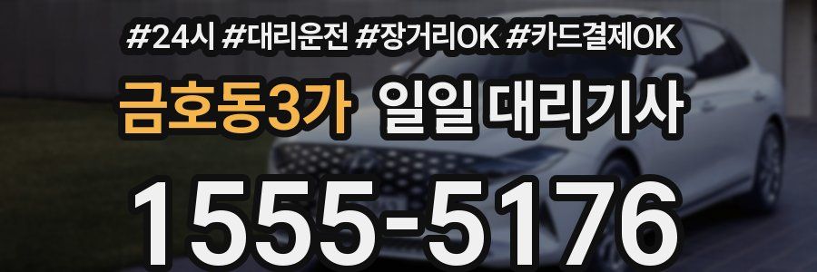 금호동3가 일일 대리기사