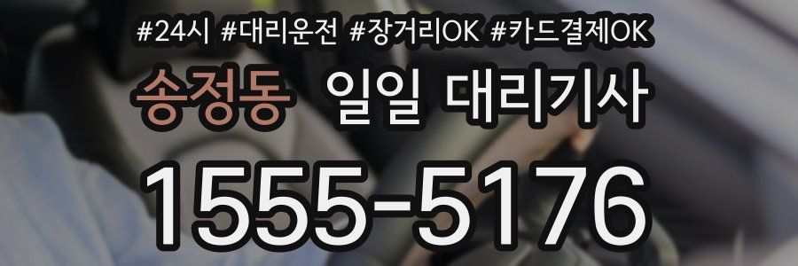 송정동 일일 대리기사