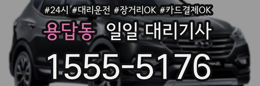 용답동 일일 대리기사