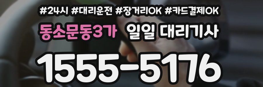 동소문동3가 일일 대리기사