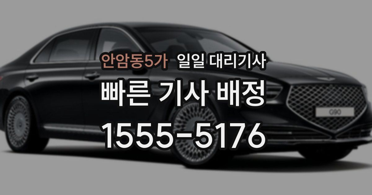 안암동5가 일일 대리기사