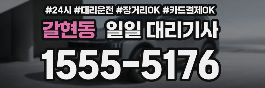 갈현동 일일 대리기사
