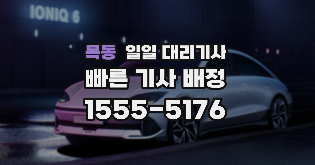 목동 일일 대리기사