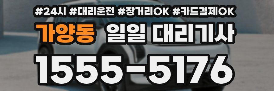 가양동 일일 대리기사