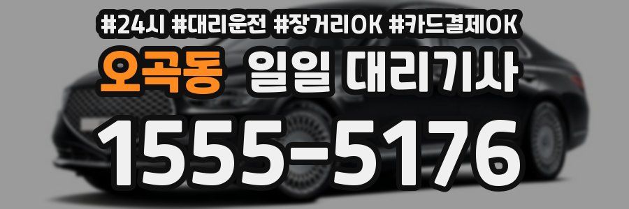 오곡동 일일 대리기사