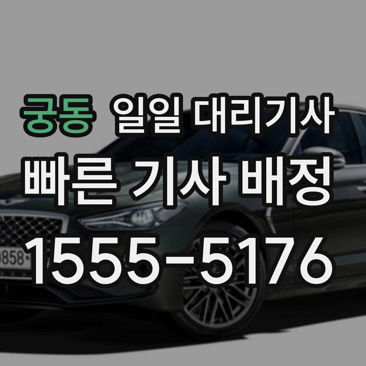 궁동 일일 대리기사