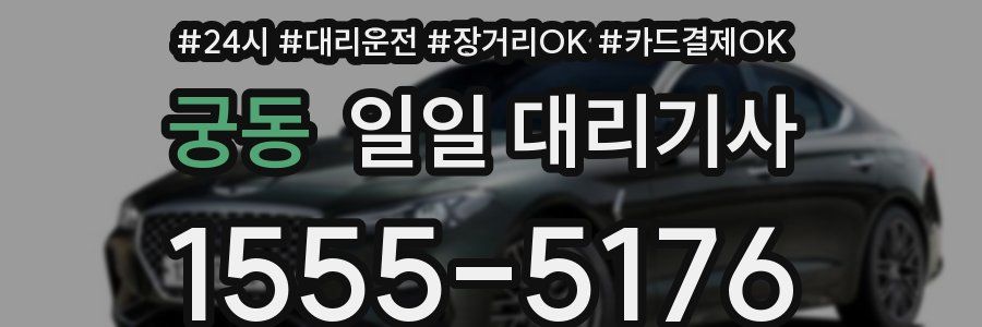궁동 일일 대리기사