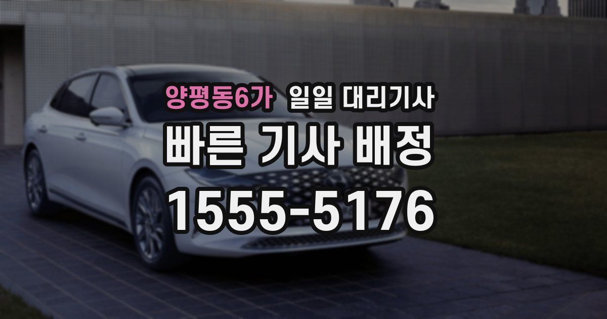 양평동6가 일일 대리기사