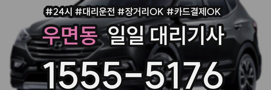 우면동 일일 대리기사