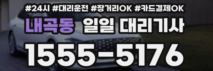내곡동 일일 대리기사