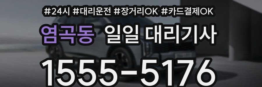 염곡동 일일 대리기사