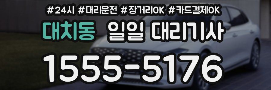 대치동 일일 대리기사