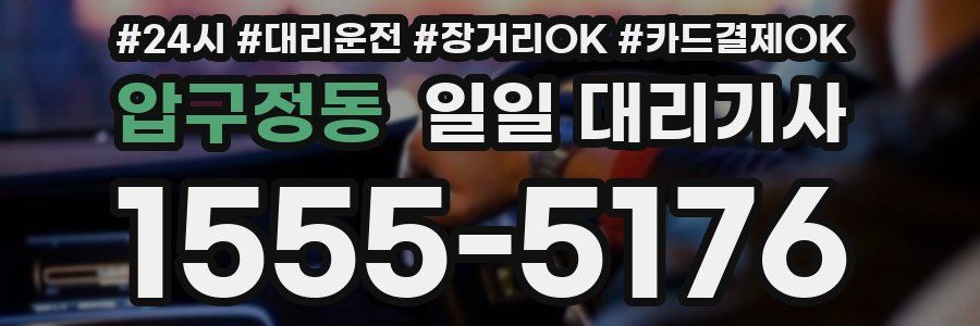 압구정동 일일 대리기사